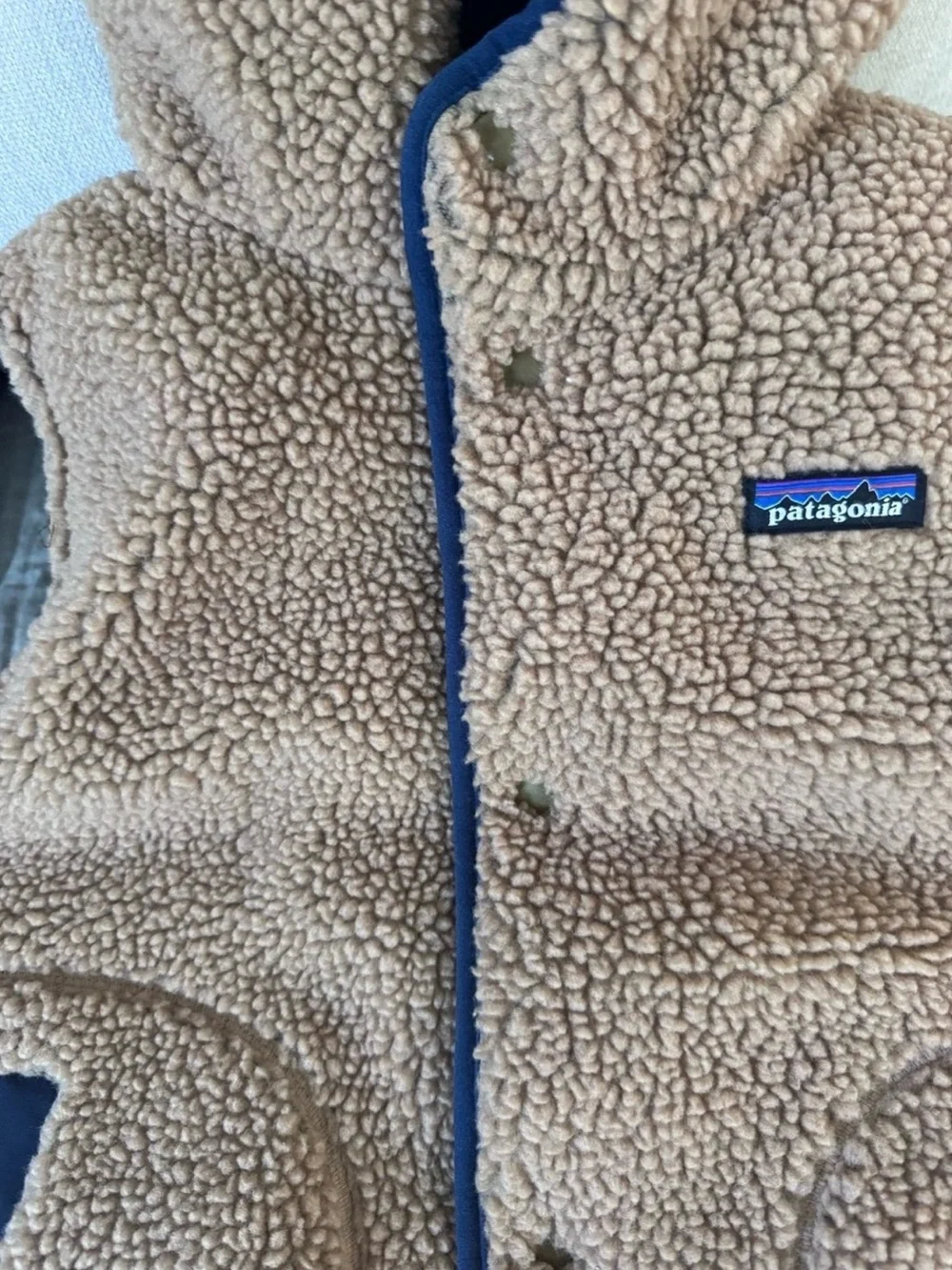 Patagonia Kids Hooded Puffer Vest in Navy & Mauve